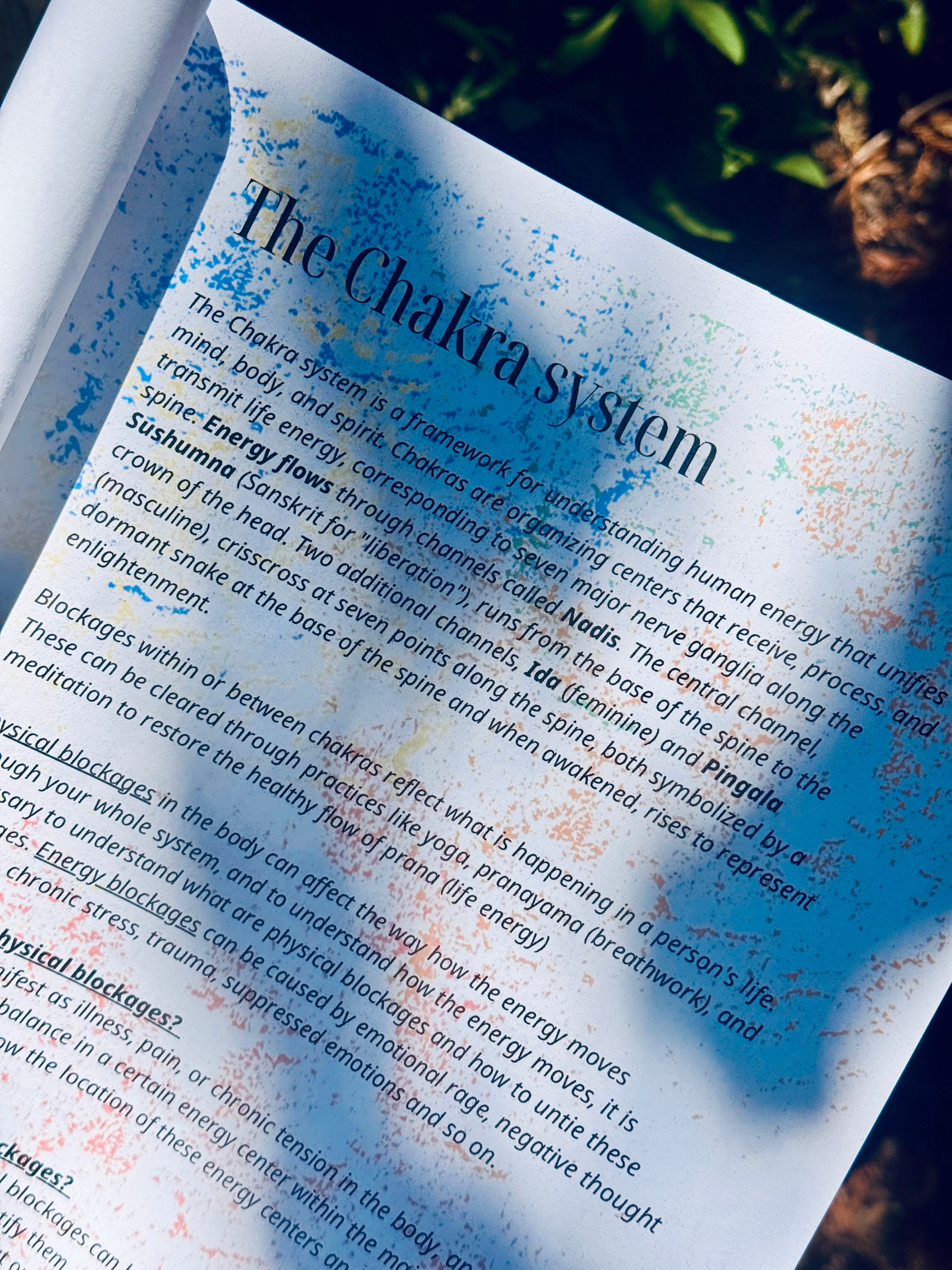 Chakra Bundle Journey